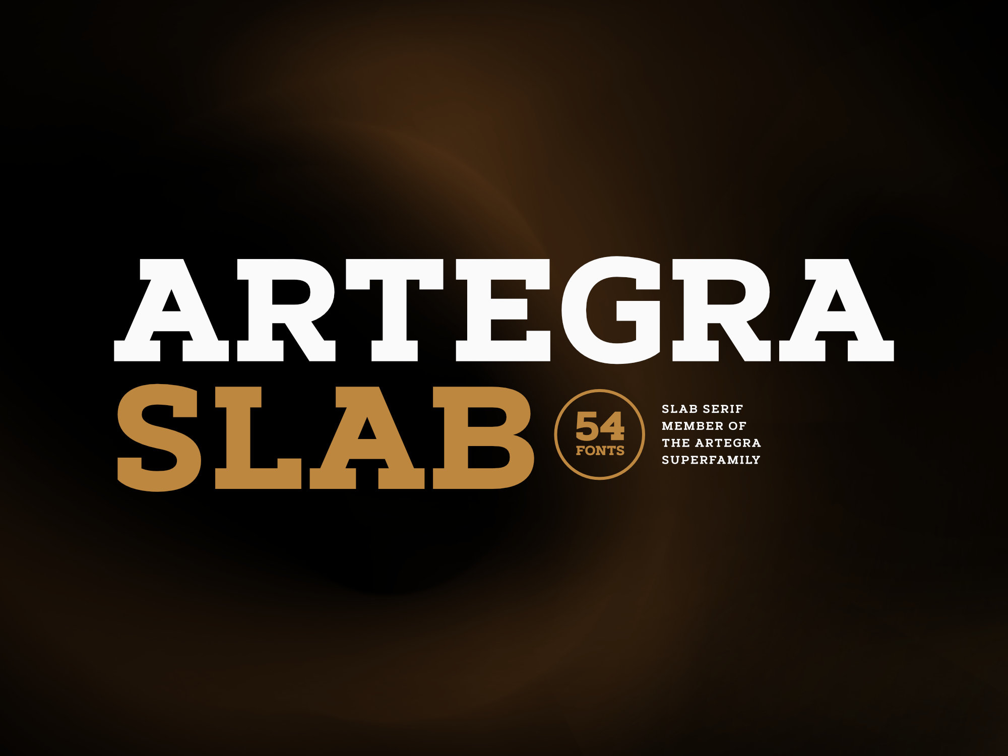 Artegra Slab Font Family – 54 Slab Serif Fonts from Artegra Superfamily